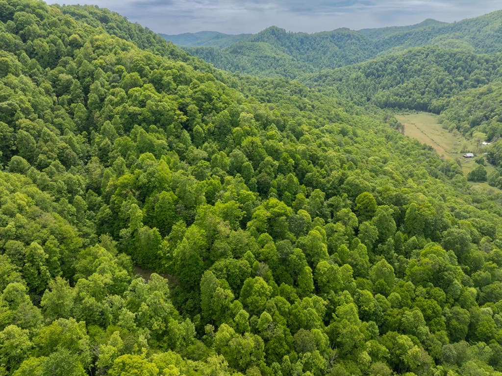 00 Walnut Cove Road, Robbinsville NC 28771 - Photo