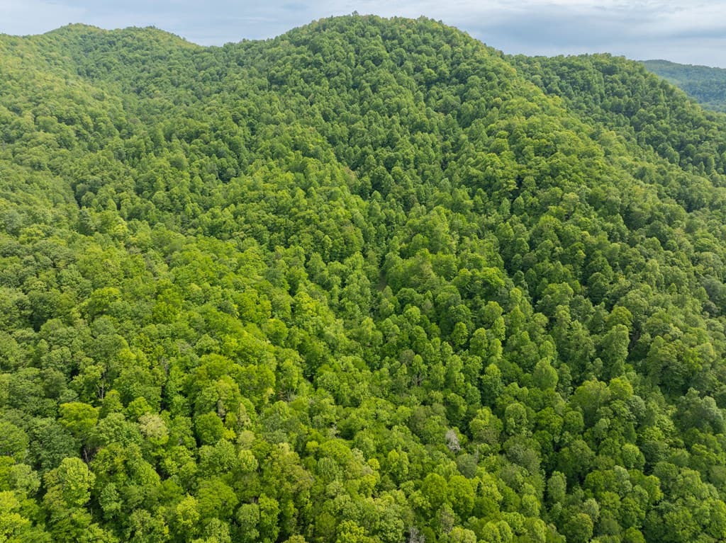00 Walnut Cove Road, Robbinsville NC 28771 - Photo