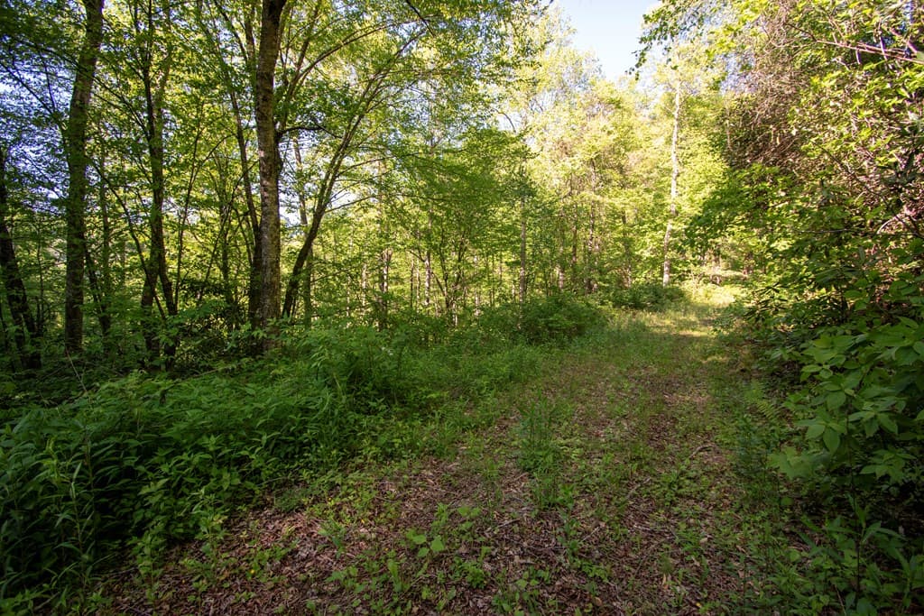 00 Walnut Cove Road, Robbinsville NC 28771 - Photo
