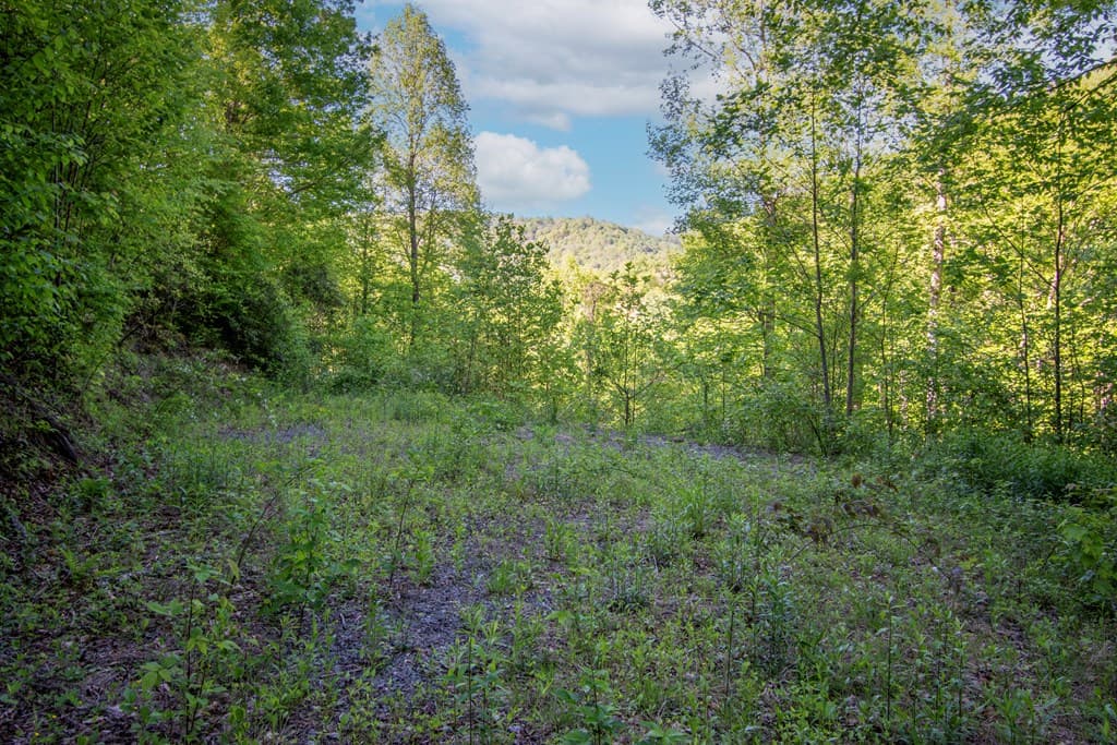 00 Walnut Cove Road, Robbinsville NC 28771 - Photo
