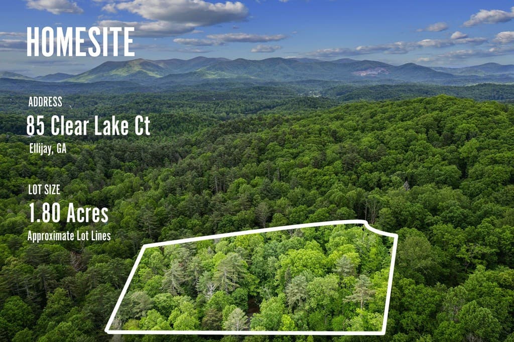 85 Clear Lake, Ellijay GA 30540 - Photo
