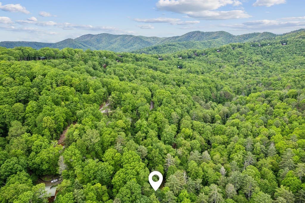 85 Clear Lake, Ellijay GA 30540 - Photo