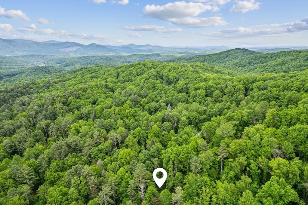 85 Clear Lake, Ellijay GA 30540 - Photo