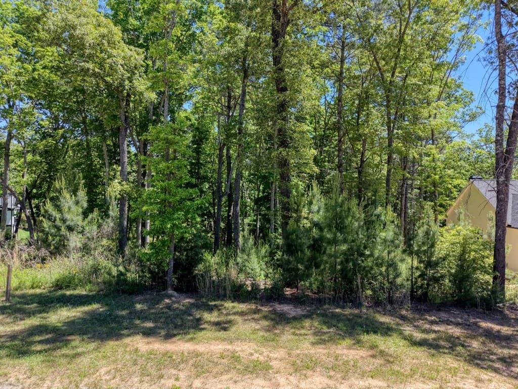 Lot 165 Highland Park, Blairsville GA 30512 - Photo