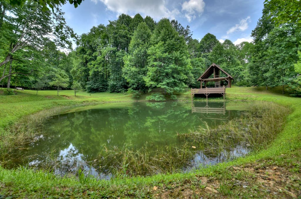 Lot 5 The Heights, Cherry Log GA 30522 - Photo