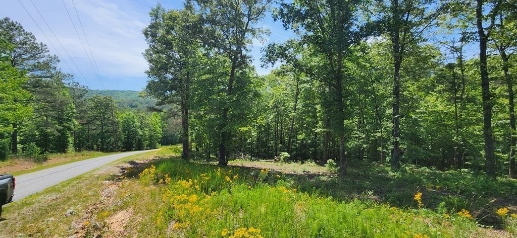LT 90 Barrell Knot Court, Ellijay GA 30536 - Photo