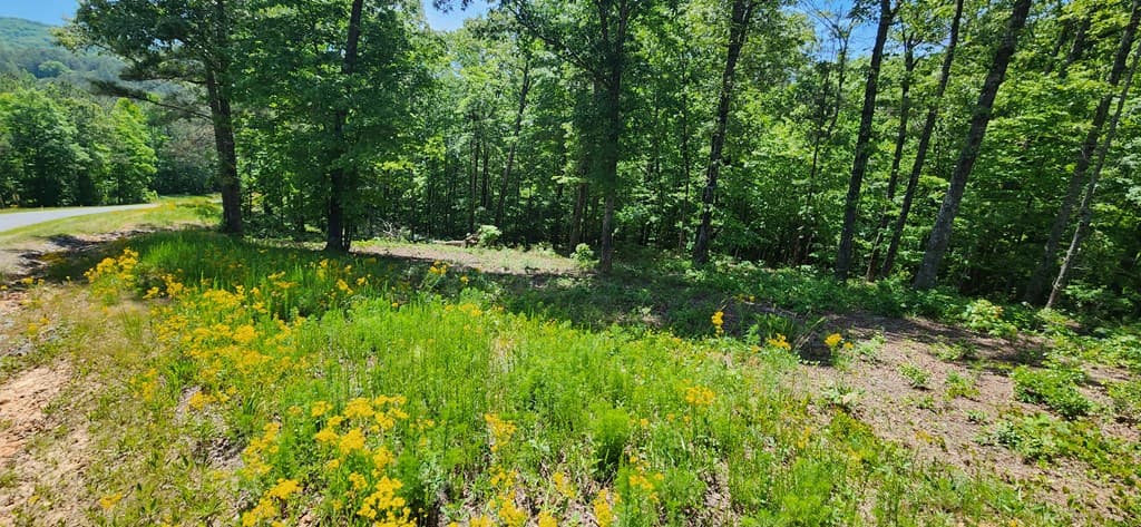 LT 90 Barrell Knot Court, Ellijay GA 30536 - Photo