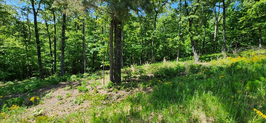 LT 90 Barrell Knot Court, Ellijay GA 30536 - Photo