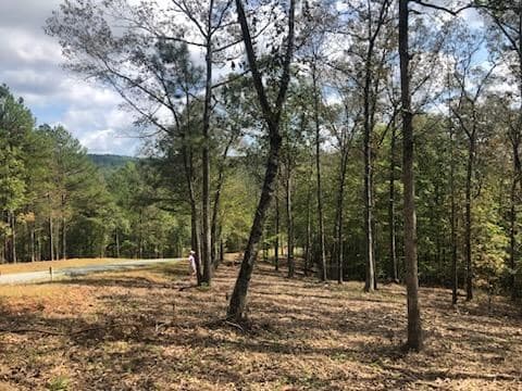 LT 90 Barrell Knot Court, Ellijay GA 30536 - Photo