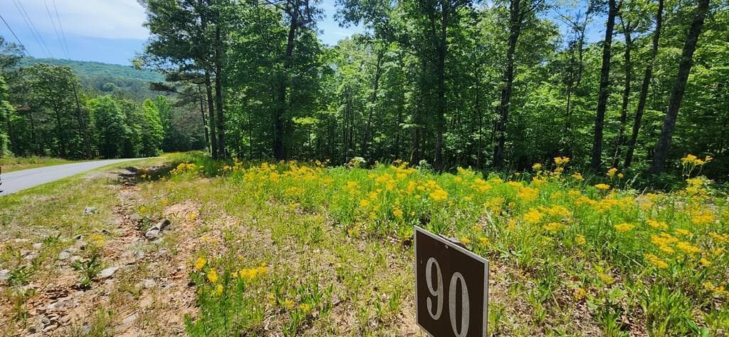 LT 90 Barrell Knot Court, Ellijay GA 30536 - Primary photo