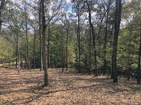 LT 90 Barrell Knot Court, Ellijay GA 30536 - Photo