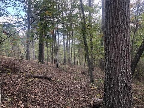 LT 90 Barrell Knot Court, Ellijay GA 30536 - Photo