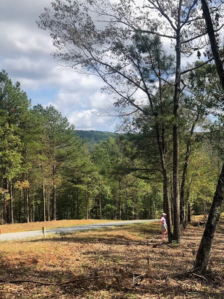 LT 90 Barrell Knot Court, Ellijay GA 30536 - Photo