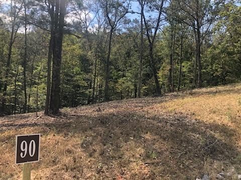 LT 90 Barrell Knot Court, Ellijay GA 30536 - Photo
