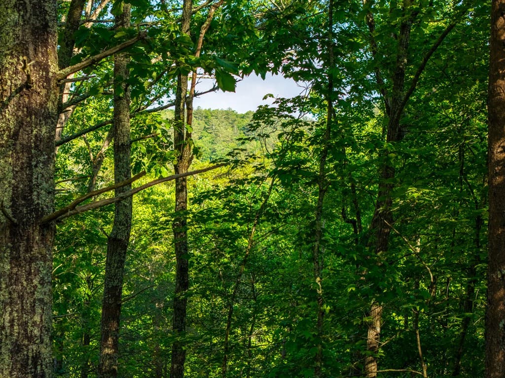 5860 Old Bucktown Road, Ellijay GA 30536 - Photo