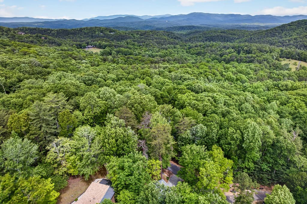 747 Mountain Oak Road, Ellijay GA 30540 - Photo