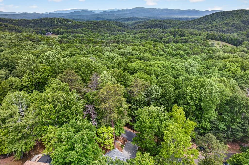 747 Mountain Oak Road, Ellijay GA 30540 - Photo