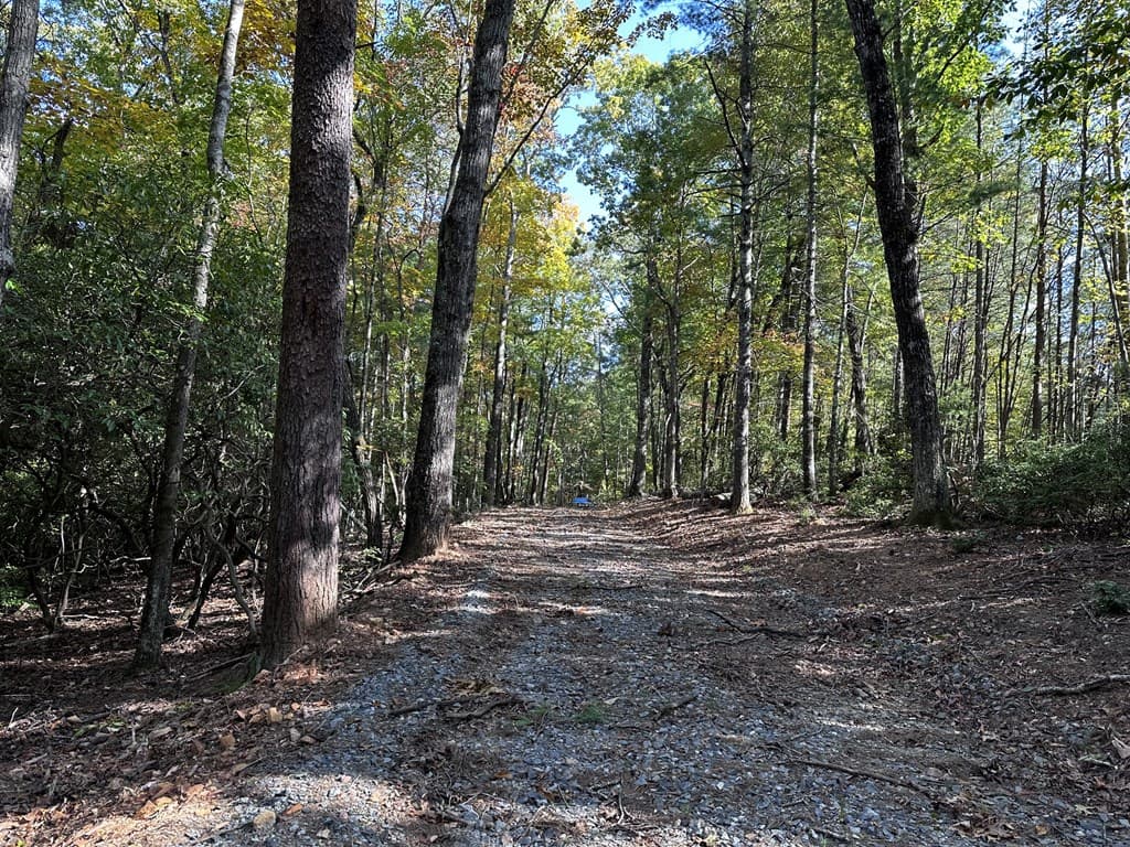 3A Turniptown Road, Ellijay GA 30536 - Photo