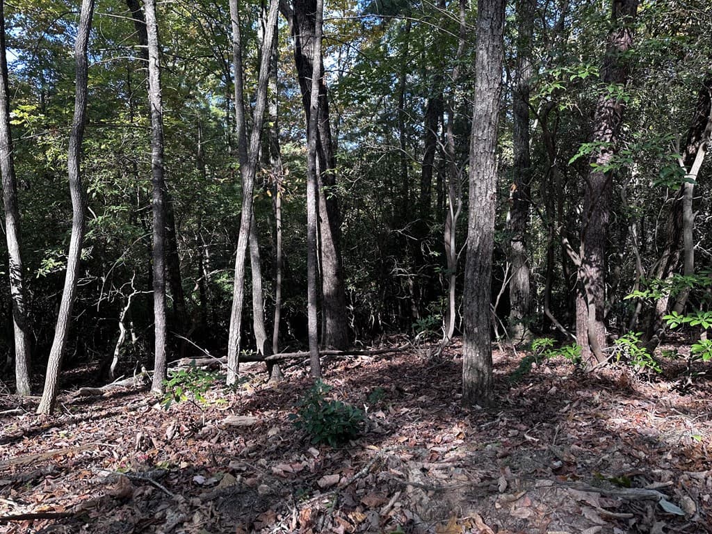 3A Turniptown Road, Ellijay GA 30536 - Photo