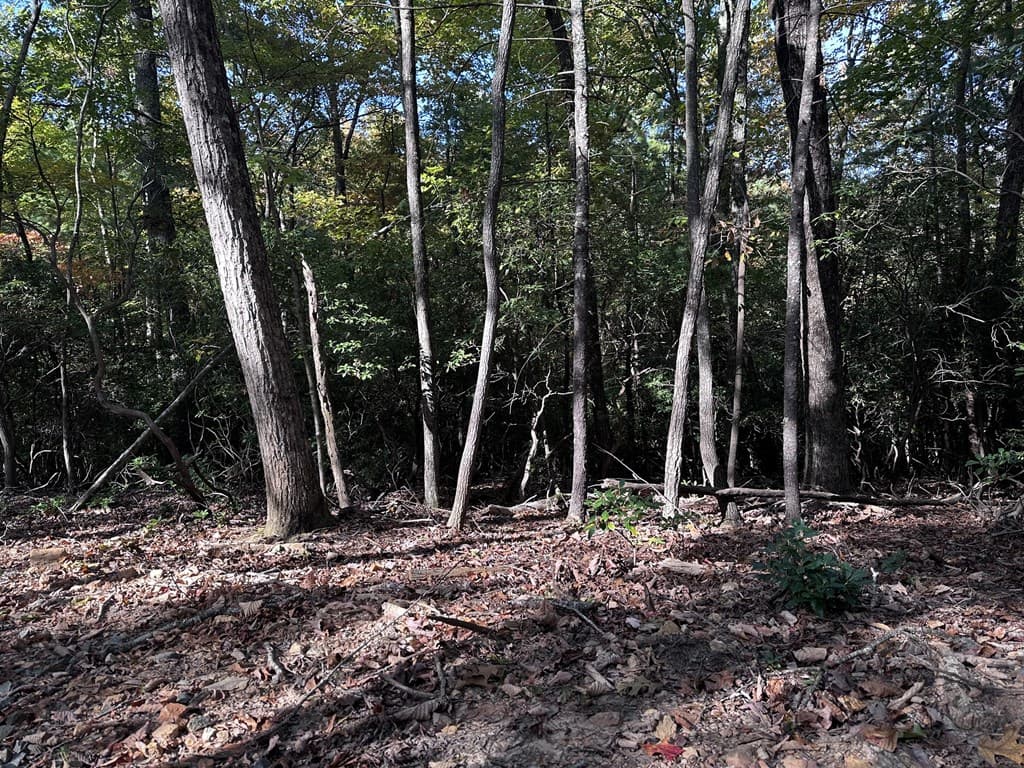 3A Turniptown Road, Ellijay GA 30536 - Photo