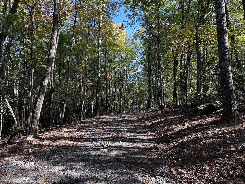 3A Turniptown Road, Ellijay GA 30536 - Photo