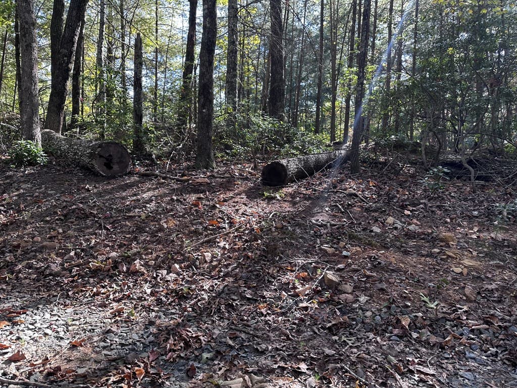 3A Turniptown Road, Ellijay GA 30536 - Photo