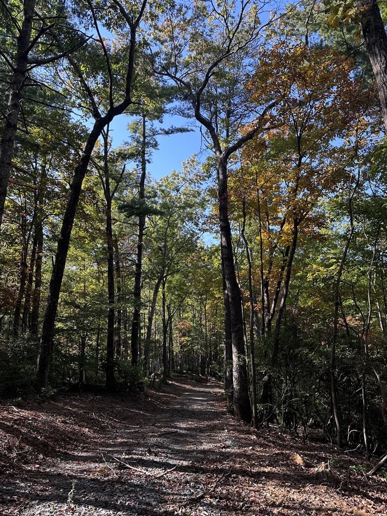 3A Turniptown Road, Ellijay GA 30536 - Photo