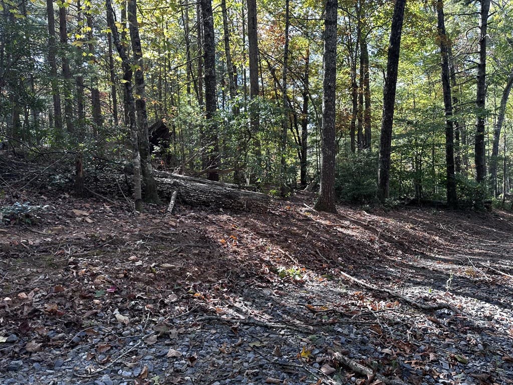3A Turniptown Road, Ellijay GA 30536 - Photo