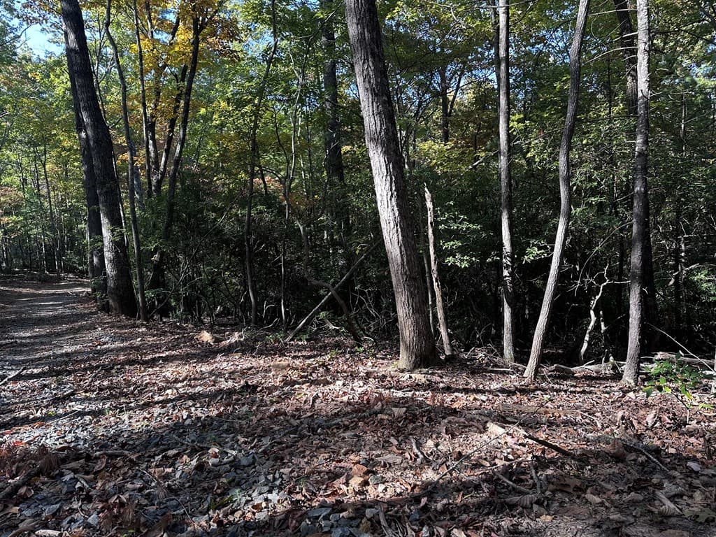 3A Turniptown Road, Ellijay GA 30536 - Photo