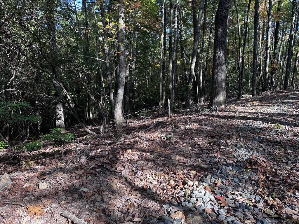 3A Turniptown Road, Ellijay GA 30536 - Photo