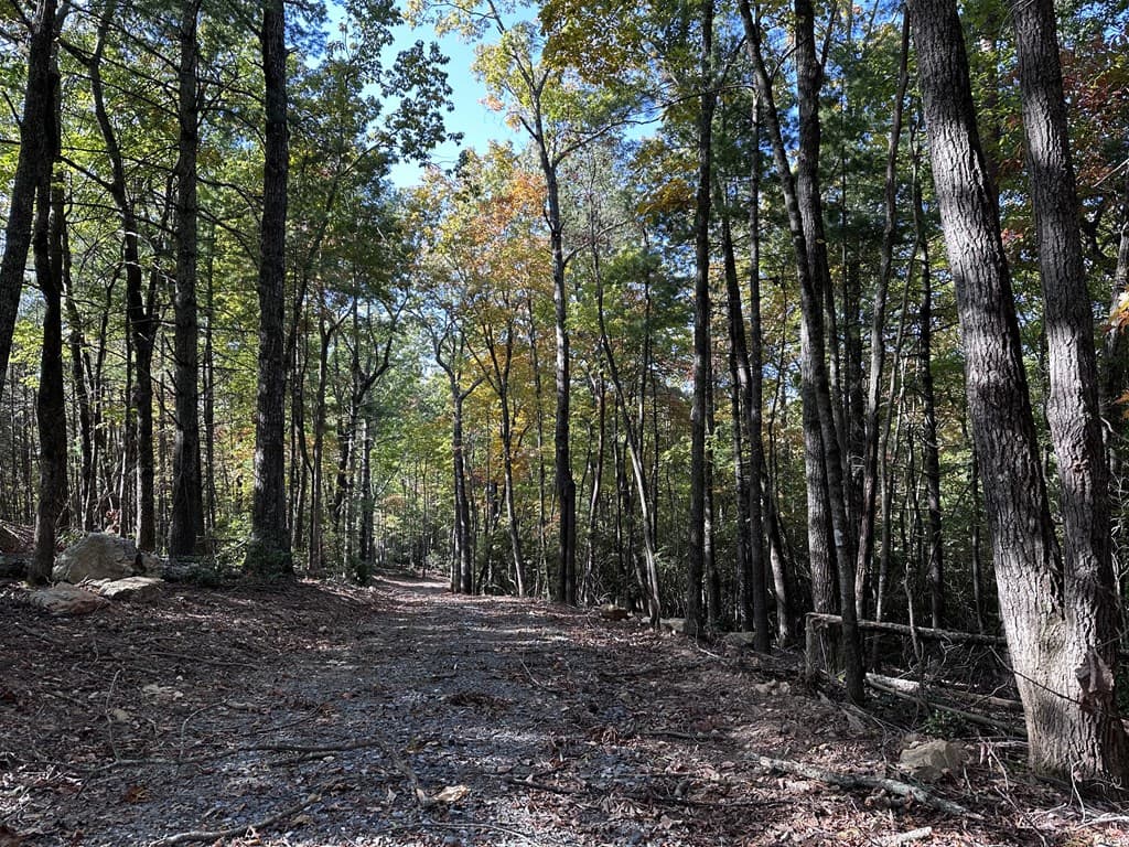 3A Turniptown Road, Ellijay GA 30536 - Photo