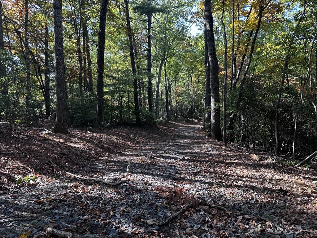 3A Turniptown Road, Ellijay GA 30536 - Photo