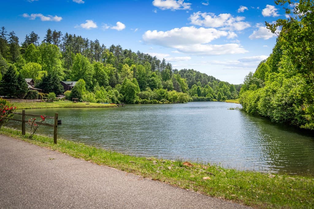 Lot 8 Ada Ridge Road, Mineral Bluff GA 30559 - Photo
