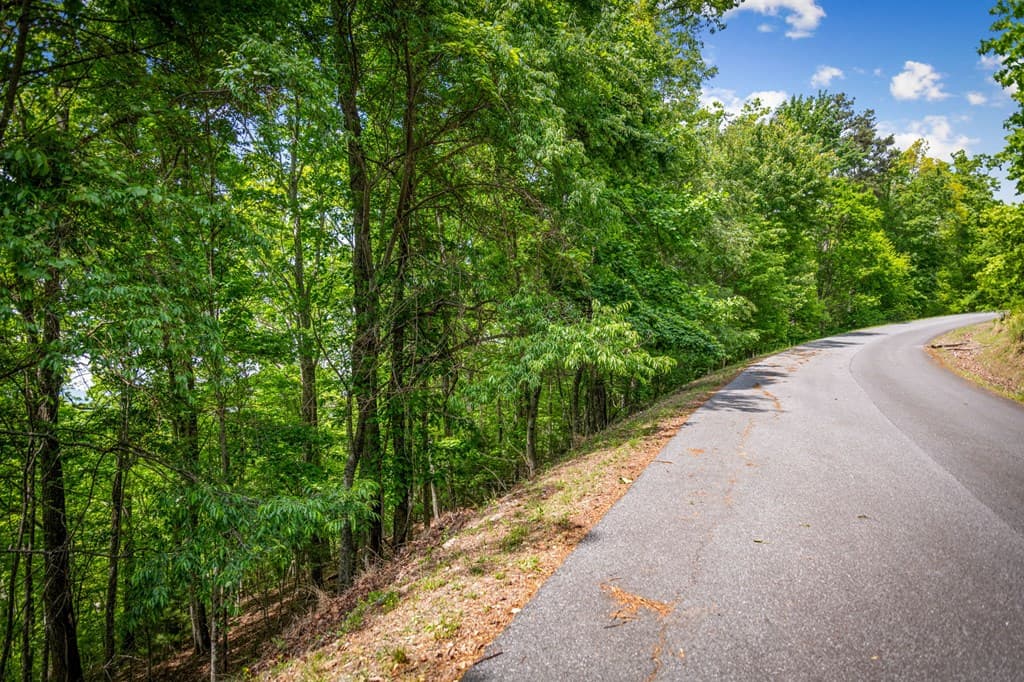 Lot 8 Ada Ridge Road, Mineral Bluff GA 30559 - Photo