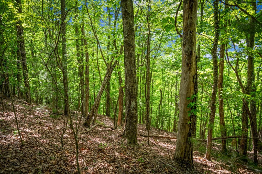 Lot 8 Ada Ridge Road, Mineral Bluff GA 30559 - Photo
