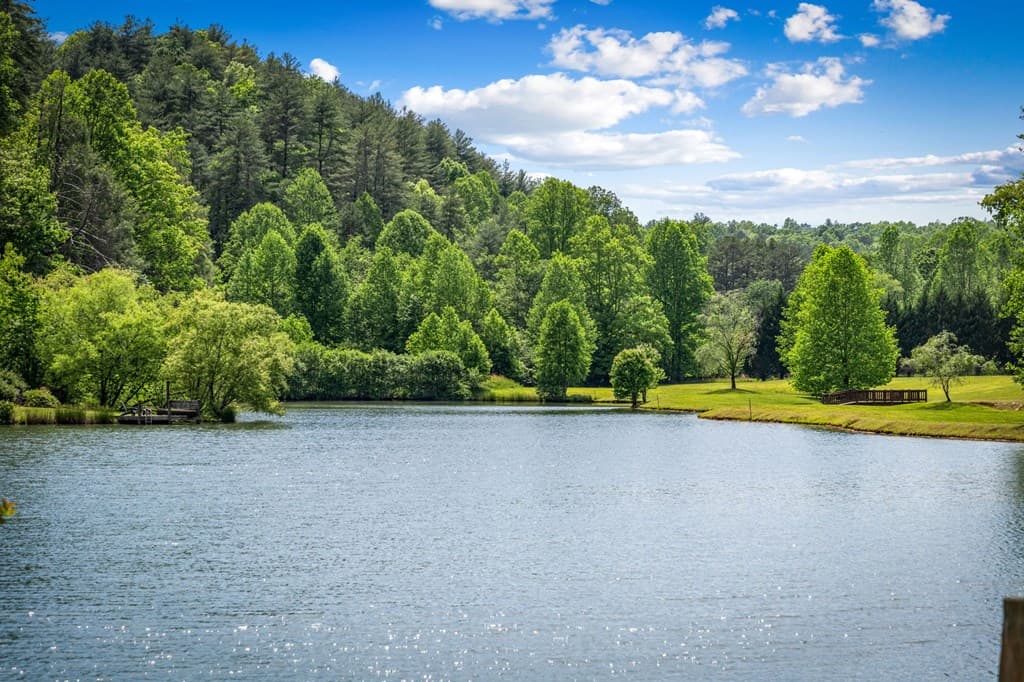 Lot 8 Ada Ridge Road, Mineral Bluff GA 30559 - Photo