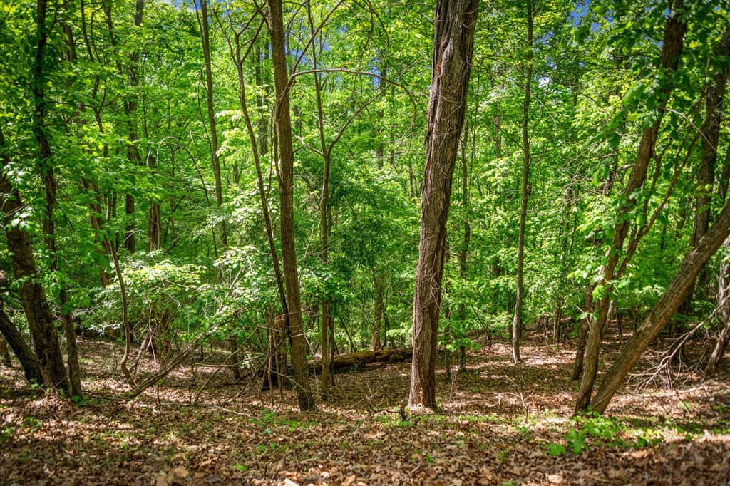 Lot 8 Ada Ridge Road, Mineral Bluff GA 30559 - Photo