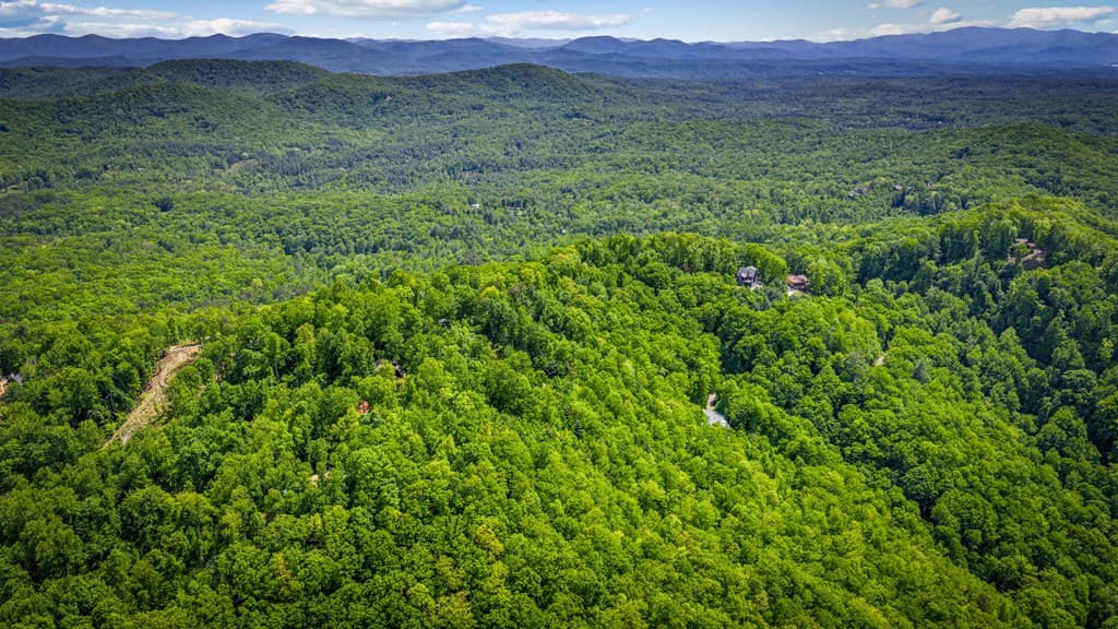 Lot 8 Ada Ridge Road, Mineral Bluff GA 30559 - Photo