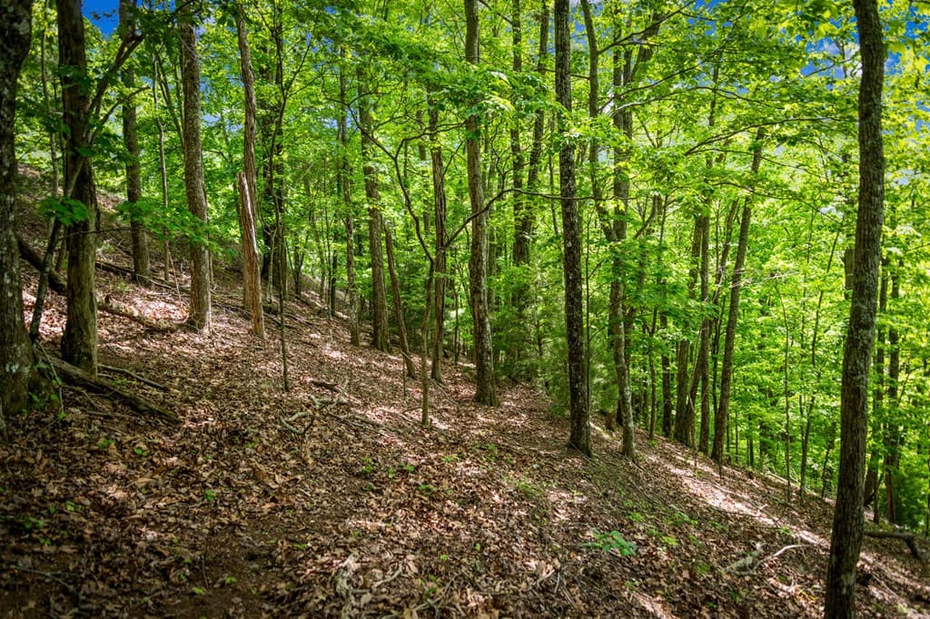 Lot 8 Ada Ridge Road, Mineral Bluff GA 30559 - Photo