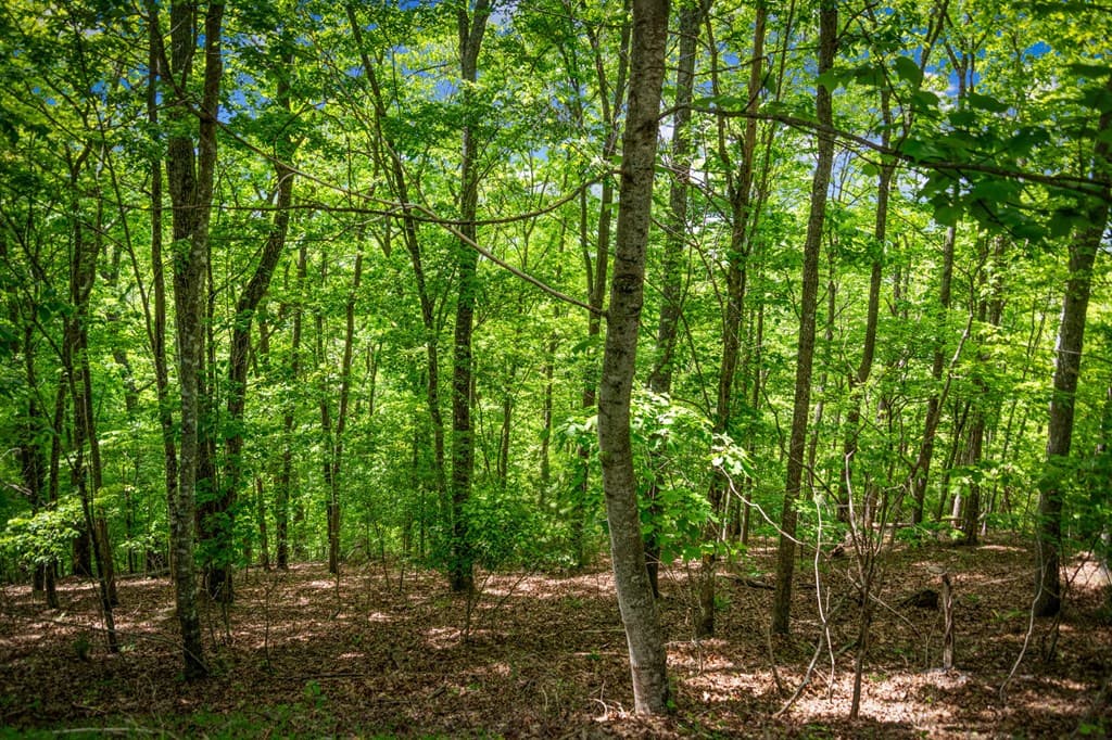 Lot 8 Ada Ridge Road, Mineral Bluff GA 30559 - Photo