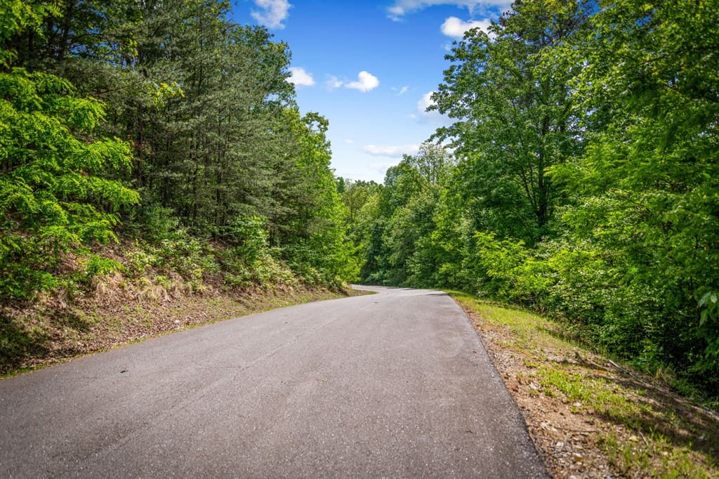Lot 8 Ada Ridge Road, Mineral Bluff GA 30559 - Photo