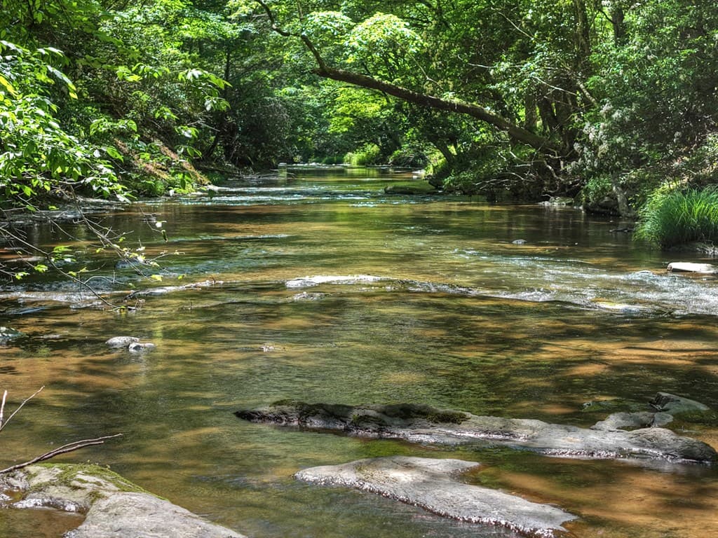 Lot 90R Mountain Creek Hollow Drive, Talking Rock GA 30175 - Photo