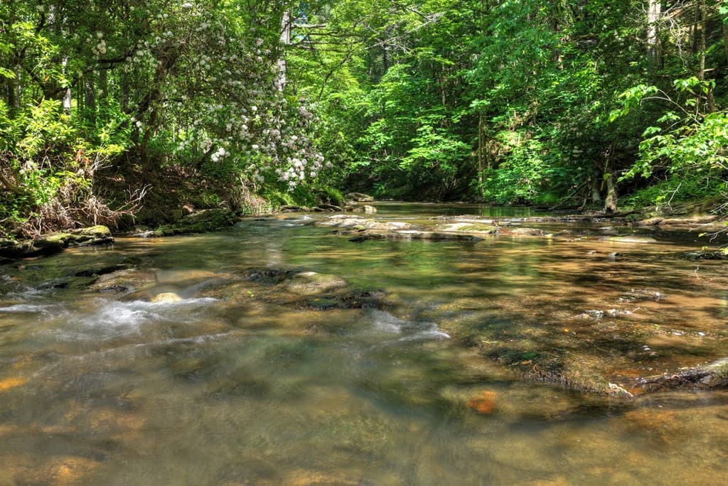 Lot 90R Mountain Creek Hollow Drive, Talking Rock GA 30175 - Photo