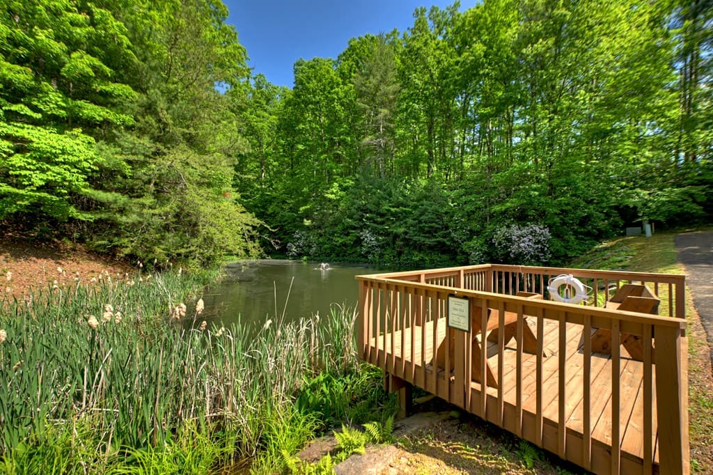Lot 90R Mountain Creek Hollow Drive, Talking Rock GA 30175 - Photo