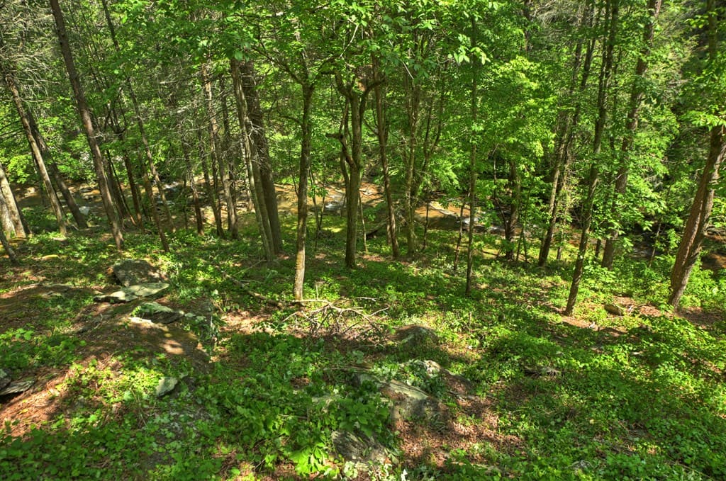 Lot 90R Mountain Creek Hollow Drive, Talking Rock GA 30175 - Photo