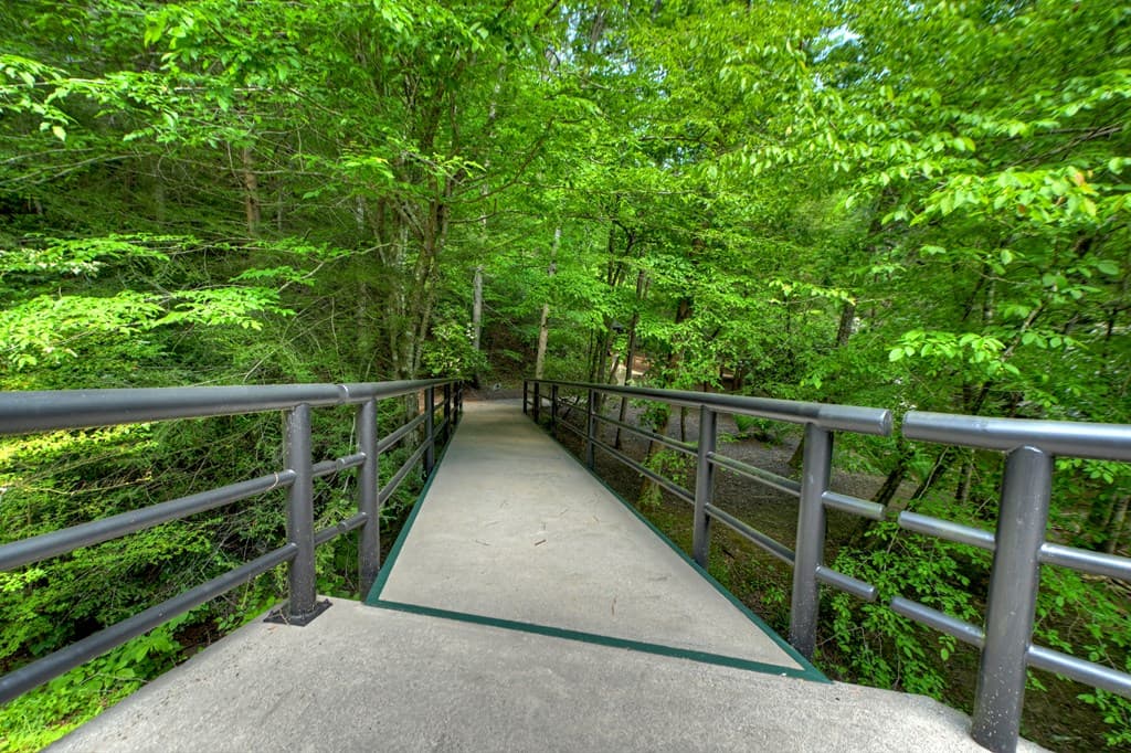 Lot 90R Mountain Creek Hollow Drive, Talking Rock GA 30175 - Photo