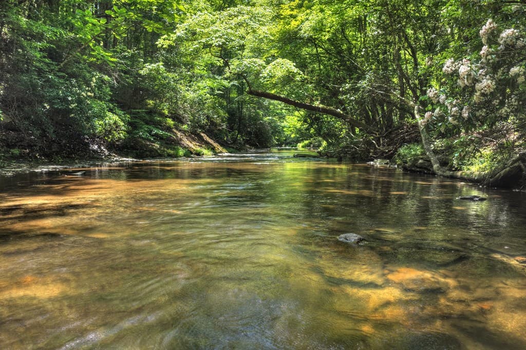 Lot 90R Mountain Creek Hollow Drive, Talking Rock GA 30175 - Photo