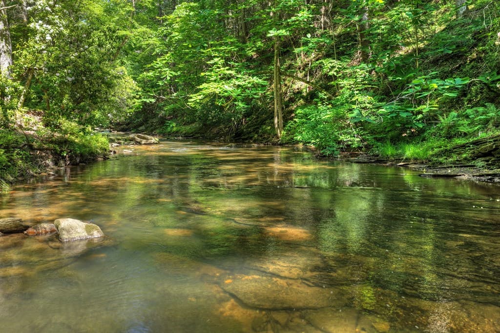 Lot 90R Mountain Creek Hollow Drive, Talking Rock GA 30175 - Photo
