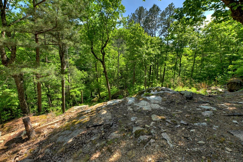 Lot 90R Mountain Creek Hollow Drive, Talking Rock GA 30175 - Photo