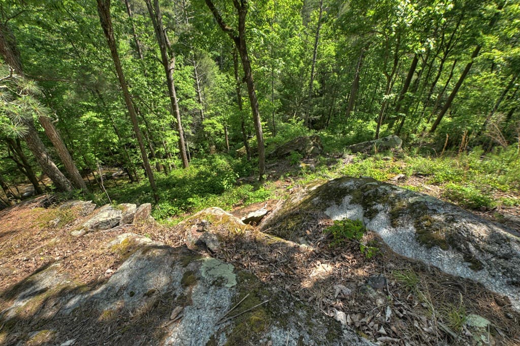 Lot 90R Mountain Creek Hollow Drive, Talking Rock GA 30175 - Photo